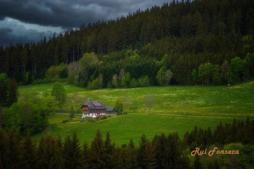 A picturesque chalet nestled in a lush green meadow, surrounded by dense evergreen forests under a cloudy sky.