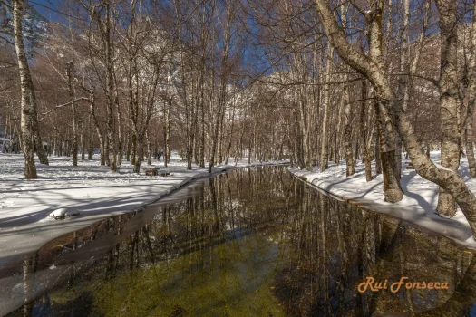 A scenic view of a river winding through a snow-covered woodland, reflecting the trees and sky. The scene evokes a sense of tranquility and the beauty of winter.