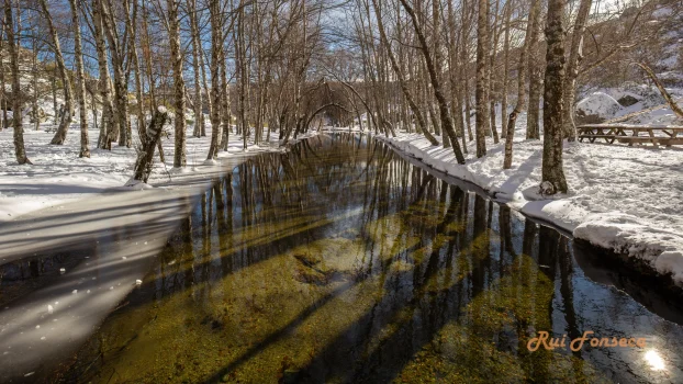 A scenic view of a river winding through a snow-covered woodland, with a wooden bridge visible in the background. The water reflects the trees and sky, creating a mirror-like effect. The image is framed with dark borders, emphasizing the central scene.