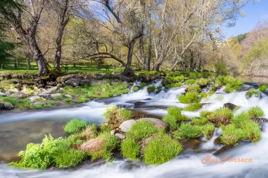 A long exposure photograph of a river flowing through a lush, green landscape with trees lining the banks. The water appears smooth and blurred due to the long exposure, contrasting with the sharp details of the vegetation.