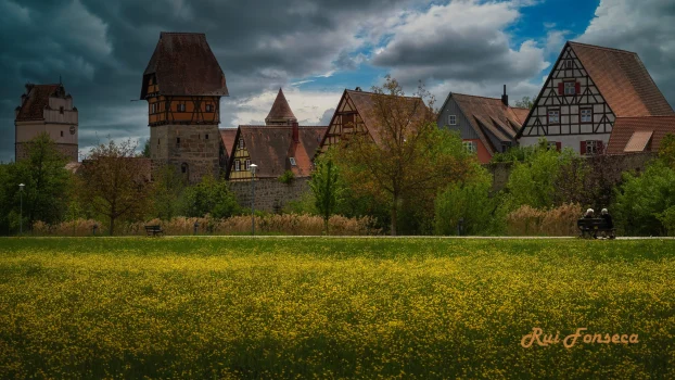 A field of yellow flowers in front of a medieval German town.
