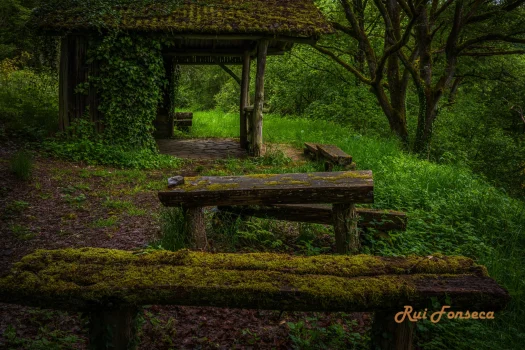 A rustic, moss-covered wooden shelter sits nestled within a lush, green forest. A wooden bench sits in the foreground, also covered in moss. The scene evokes a sense of tranquility and age.