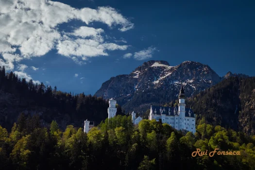 A majestic castle sits atop a rocky outcrop, surrounded by lush green forest and towering snow-capped mountains under a clear blue sky.