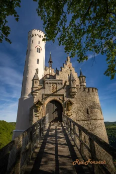 A picturesque view of Neuschwanstein Castle in Bavaria, Germany, captured on a sunny day. The castle's iconic towers and walls are framed by lush greenery and a clear blue sky, showcasing its fairytale-like appearance.