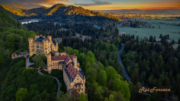 Aerial view of Neuschwanstein Castle in Bavaria, Germany, surrounded by lush green forest and a valley.