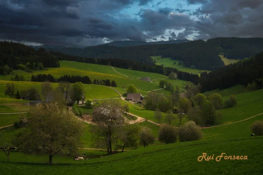 A wide, green, rolling landscape with scattered trees and a few buildings in the distance, under a cloudy sky.
