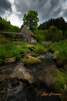 A rustic wooden mill stands beside a rushing stream in a lush, green forest. The sky is overcast, creating a moody atmosphere.