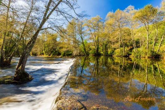 A long exposure photograph of a river flowing through a forest, with trees reflected in the water. The sky is blue and the trees are beginning to show signs of new growth.