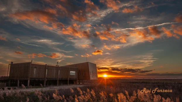 A modern wooden building sits on stilts in a coastal landscape at sunset, with a vibrant orange and pink sky.