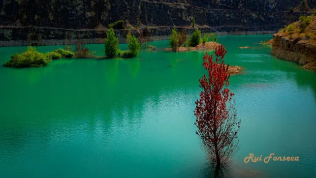 A turquoise lake sits within a former quarry, with a single, bare deciduous tree prominently featured in the foreground. Dark rock faces form the backdrop, and sparse vegetation clings to the slopes.