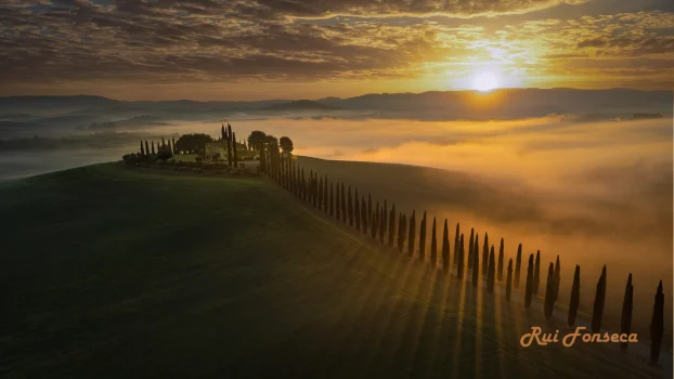 A picturesque Tuscan landscape at sunrise, featuring a cypress-lined road leading to a stone farmhouse nestled in a valley filled with mist.