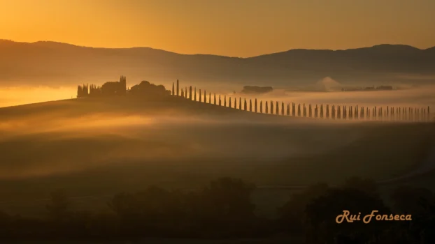 A picturesque landscape of rolling hills bathed in golden light, featuring a cypress-lined road leading to a villa, all enveloped in a layer of morning mist.
