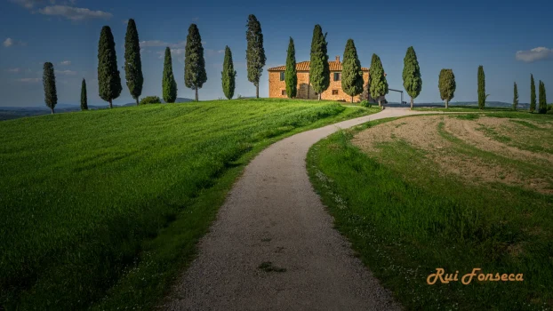 A picturesque view of a Tuscan villa framed by rows of cypress trees, with a winding gravel path leading towards it under a clear blue sky.