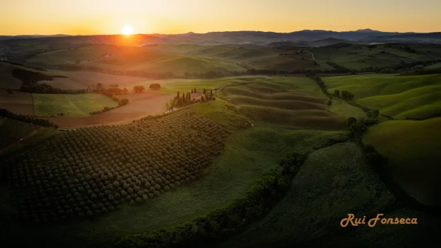 Aerial view of rolling hills and olive groves at sunset in Tuscany, Italy.